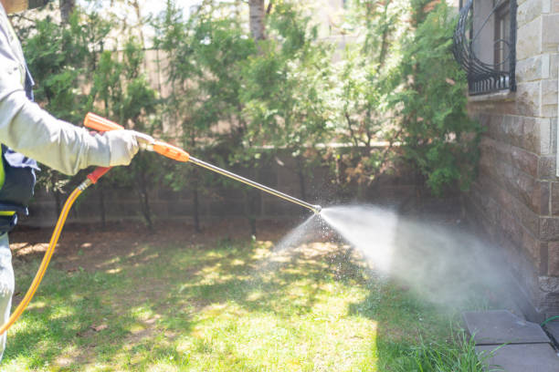 Best Outdoor Pest Control  in North Vacherie, LA